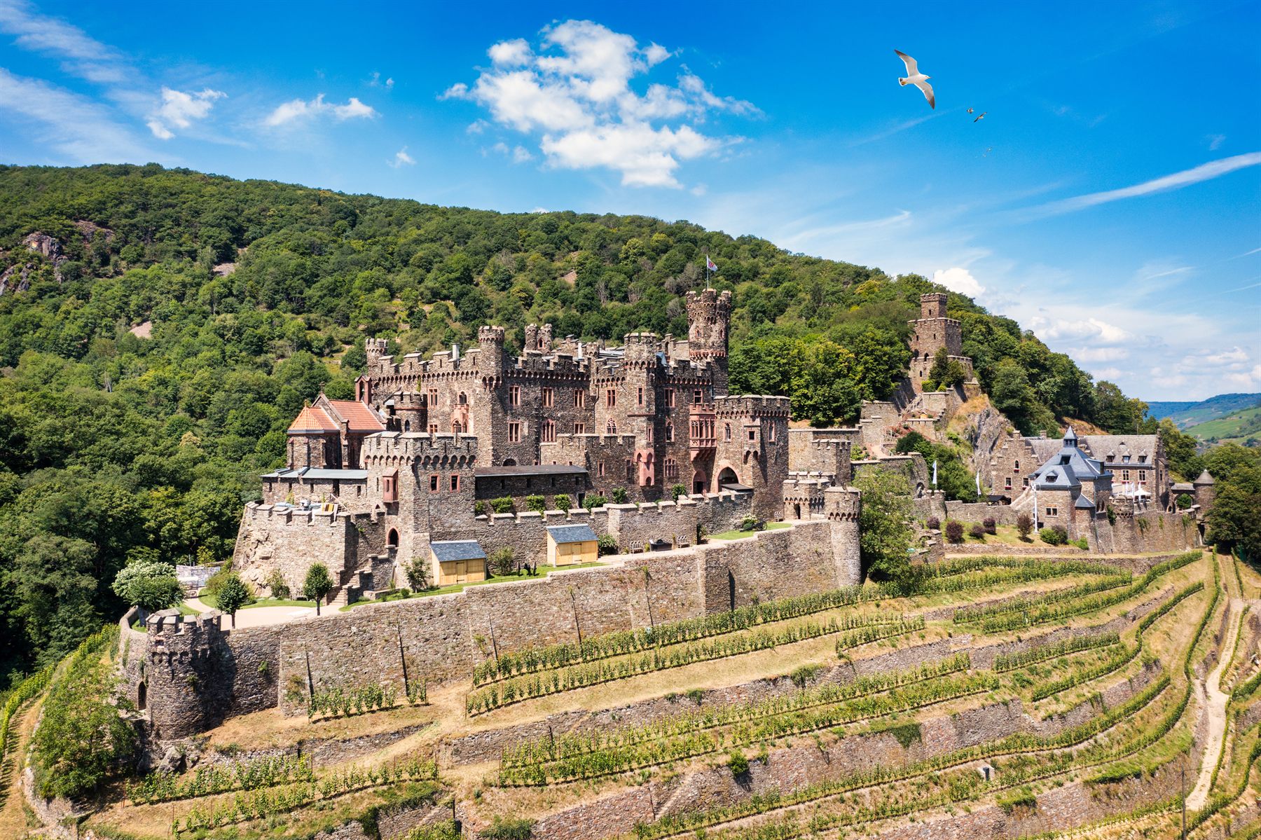 Hillside castle surrounded by terraced vineyards