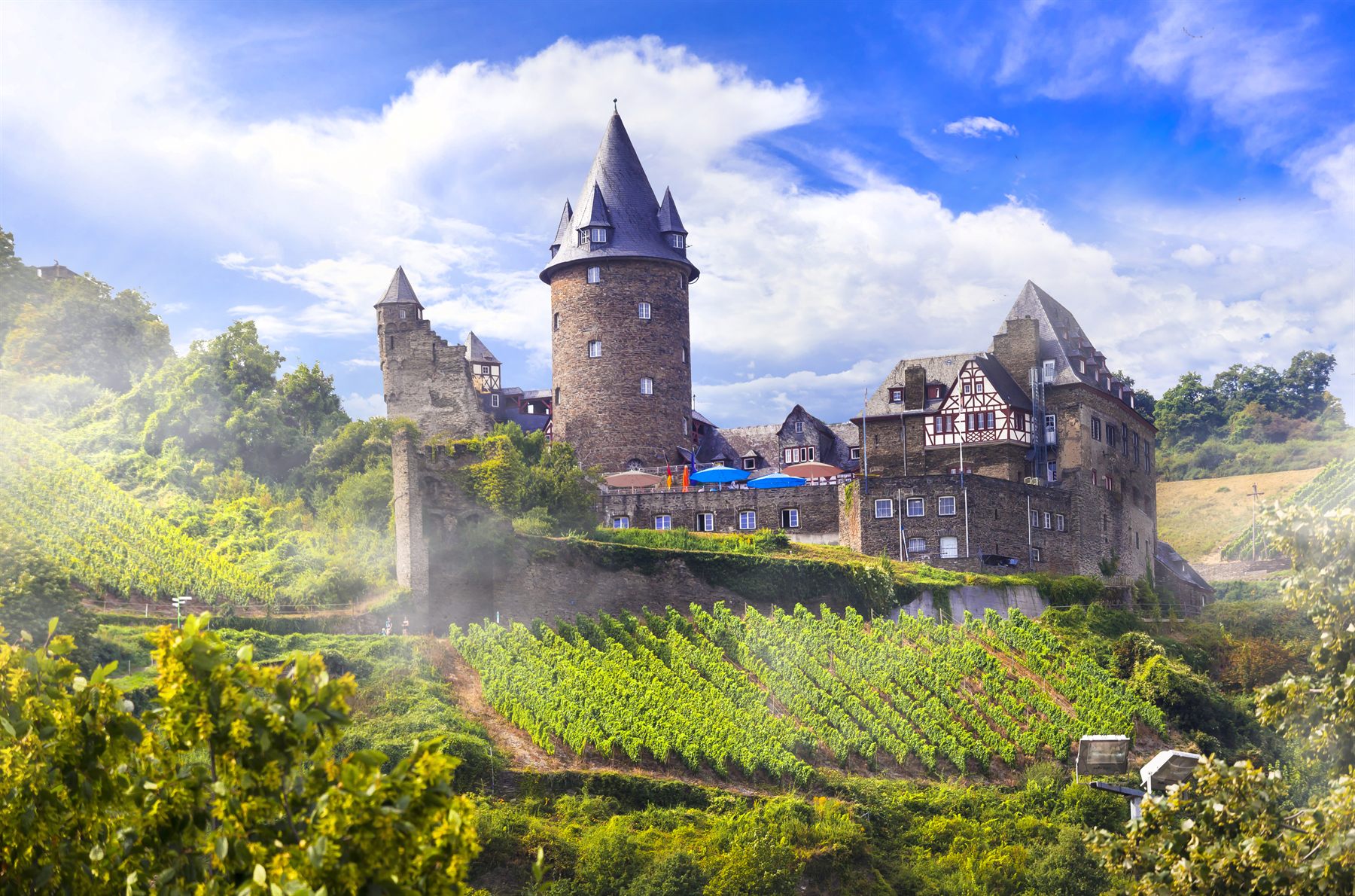 Medieval castle with a round tower above terraced vineyards