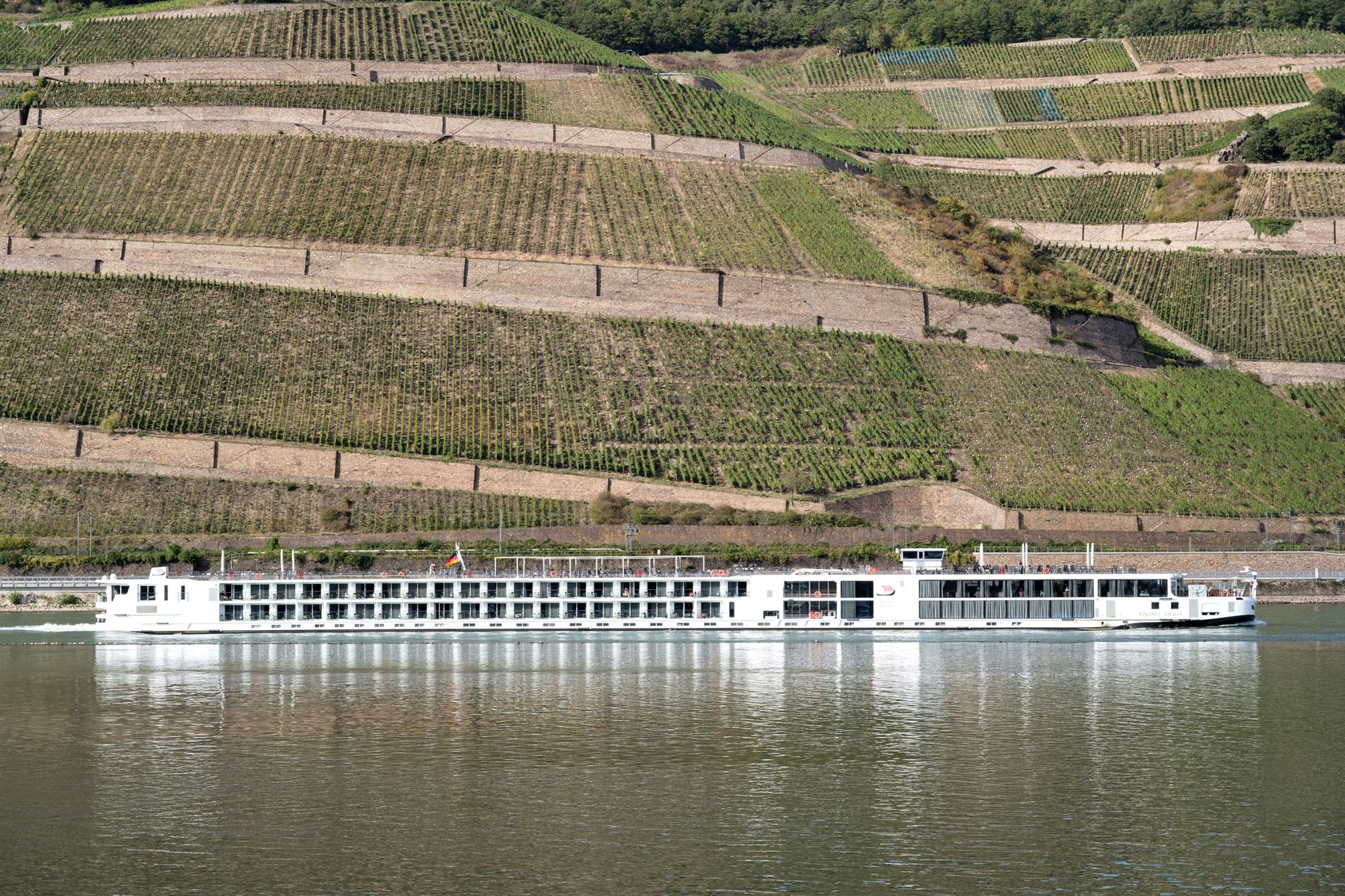 River cruise ship sailing below steep terraced vineyards