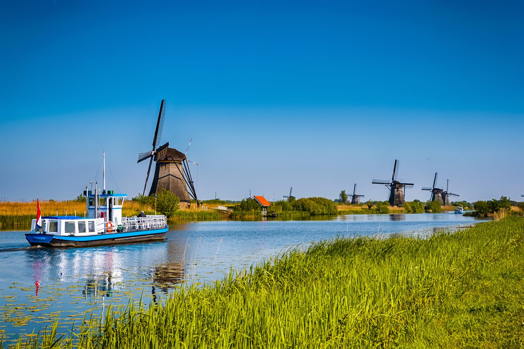 Traditional Dutch windmills along a waterway, with a small passenger boat